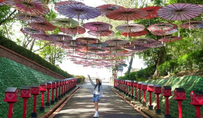 柳營打卡景點 柳營打卡景點