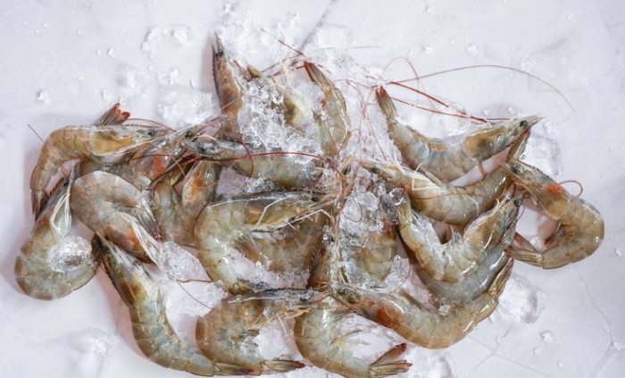 冷凍蝦挑選技巧