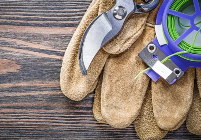 九重葛修剪方法