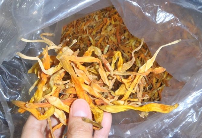 乾金針製作 乾金針製作