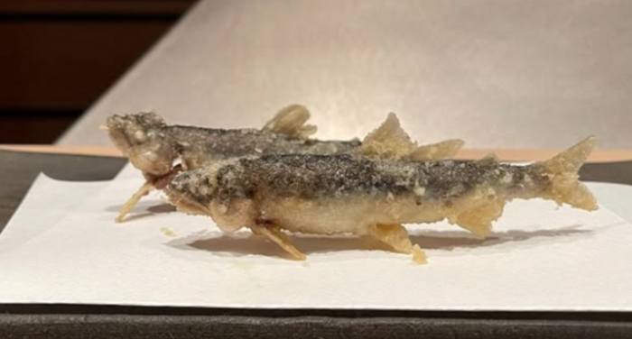 福岡星級餐廳預約