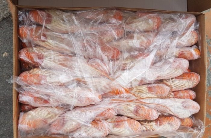 冷凍海鮮保存期限