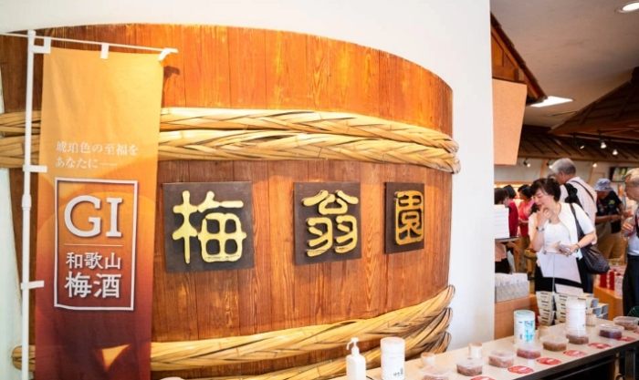 和歌山室內活動 和歌山室內活動