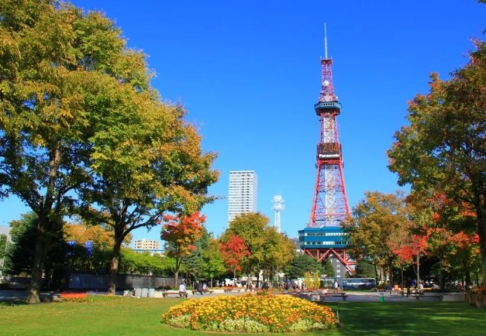 夏天北海道旅遊