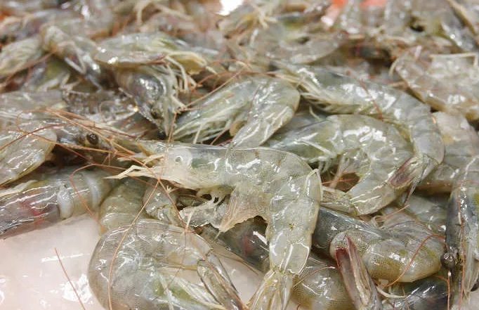 冷凍蝦怎麼挑最新