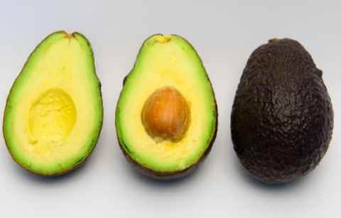 長青牛油果熟判斷