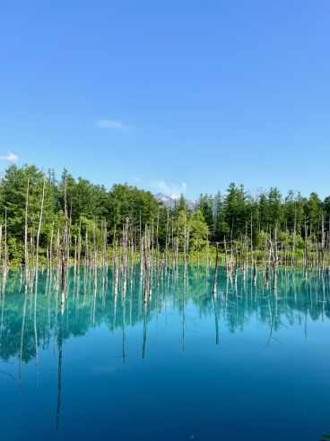 北海道夏天自駕 北海道夏天自駕