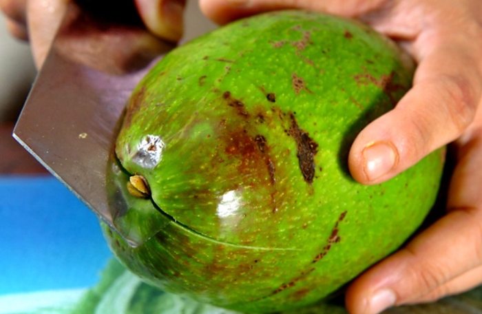 牛油果切法技巧