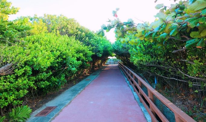 休閒農場露營推薦 休閒農場露營推薦