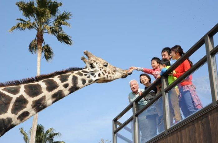 和歌山親子旅遊