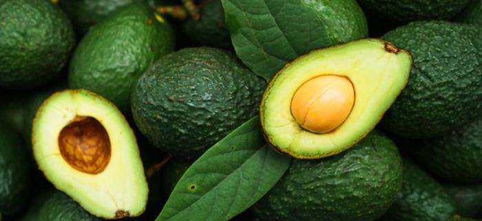 酪梨苦味有毒 酪梨苦味有毒