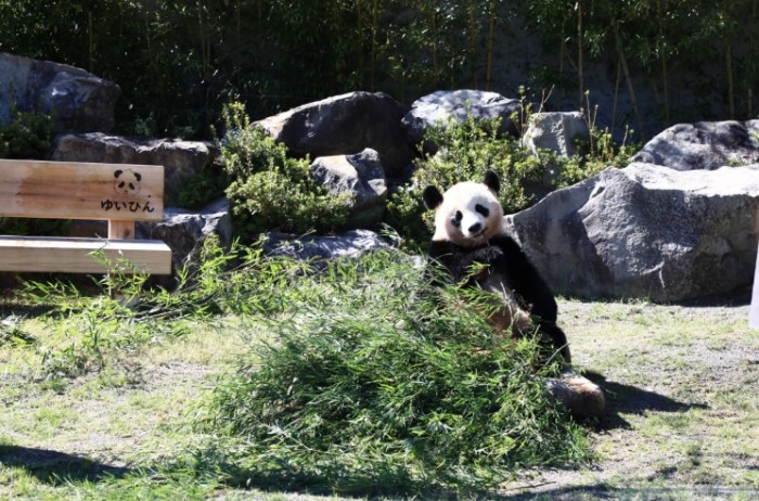 和歌山親子旅遊