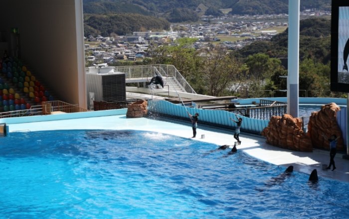 和歌山親子景點