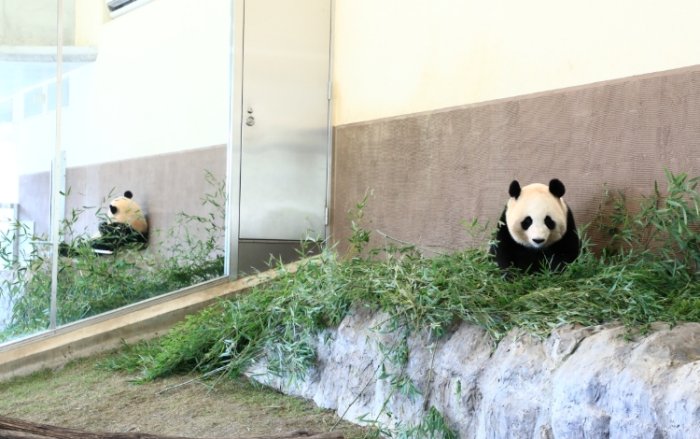 和歌山親子行程