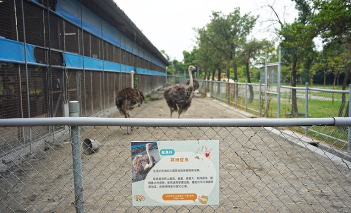 寵物友善農場活動