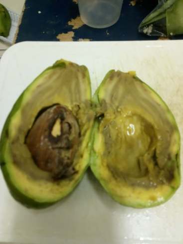 酪梨安全食用 酪梨安全食用