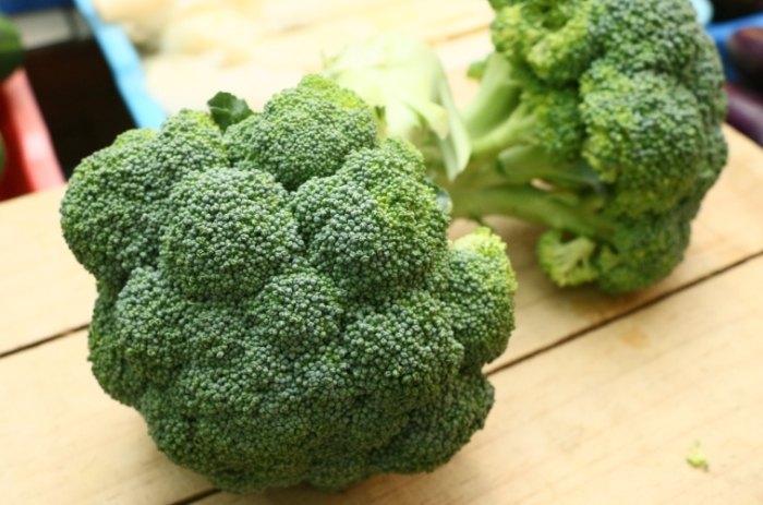 青花椰菜苗營養