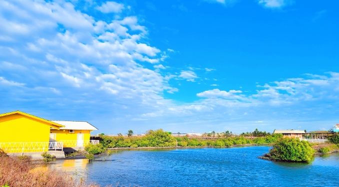 休閒農場露營推薦 休閒農場露營推薦