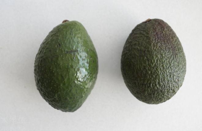 酪梨保鲜技巧 酪梨保鲜技巧