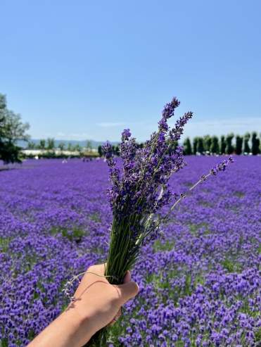 道東自駕遊攻略 道東自駕遊攻略