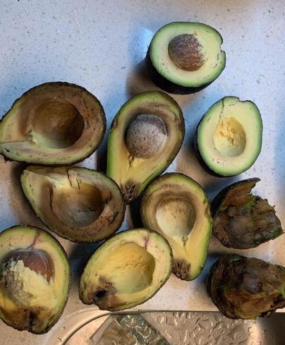 酪梨保存方法 酪梨保存方法