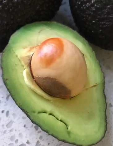 牛油果催熟方法 牛油果催熟方法