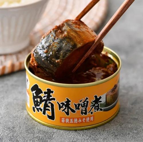 味噌鯖魚罐頭食譜 味噌鯖魚罐頭食譜