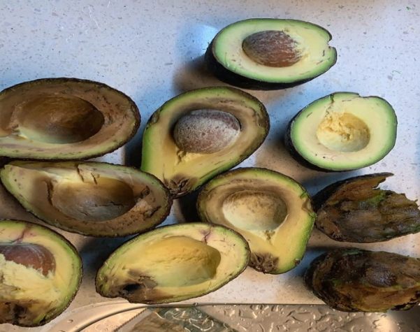 酪梨壞掉判斷 酪梨壞掉判斷