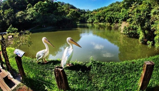 新竹農場一日遊