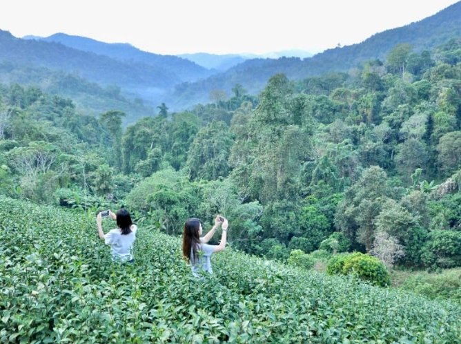 清邁旅行天氣 清邁旅行天氣