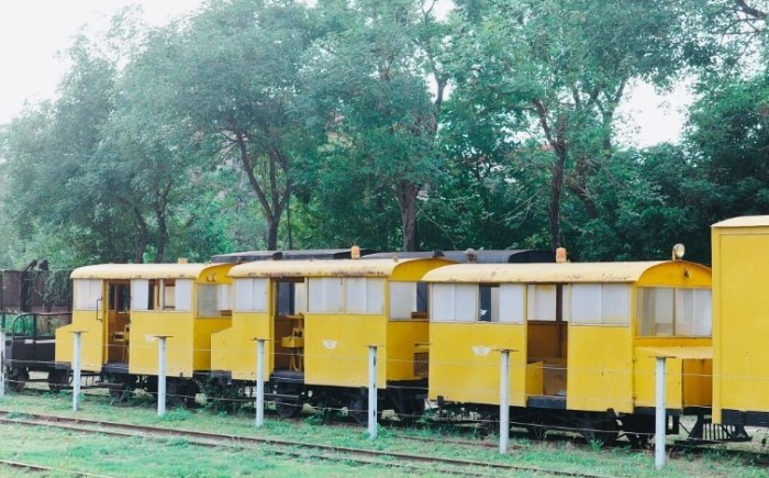 新營觀光交通費用