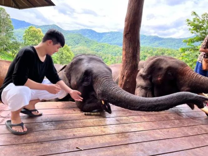 清邁雨季 清邁雨季