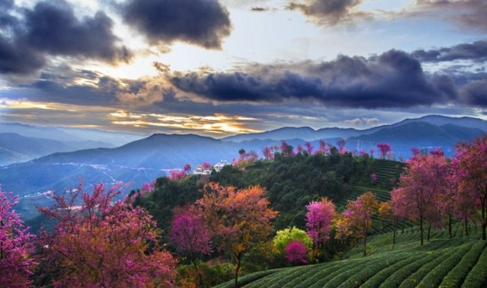 曼谷自由行收官 曼谷自由行收官