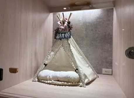 寵物旅館不關籠