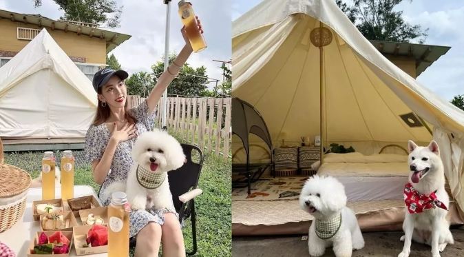 可帶寵物露營區推薦 可帶寵物露營區推薦