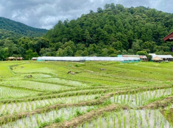 清邁雨季 清邁雨季