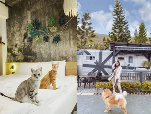 台北寵物友善飯店