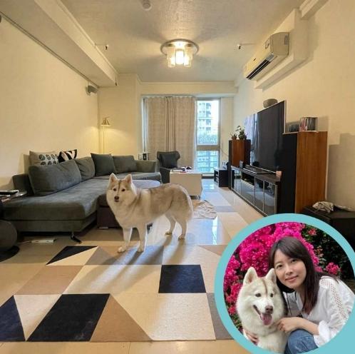 台北寵物友善飯店