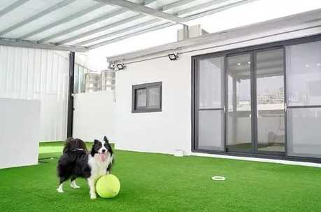 台中寵物旅館推薦