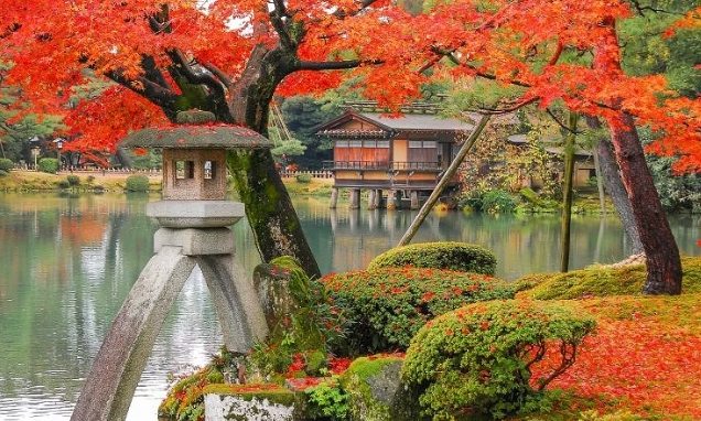 金澤賞楓 金澤賞楓