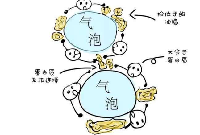蛋白質發泡機制