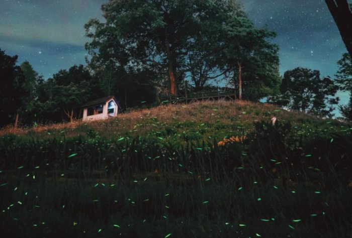 螢火蟲住宿推薦