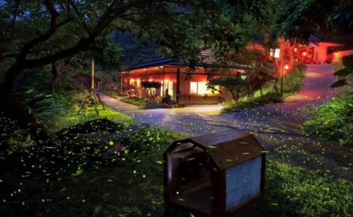 螢火蟲住宿推薦