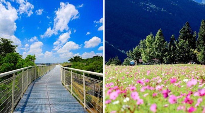 中部無障礙旅遊 中部無障礙旅遊