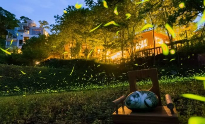 台灣螢火蟲民宿