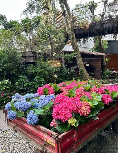 苗栗輪椅友善景點