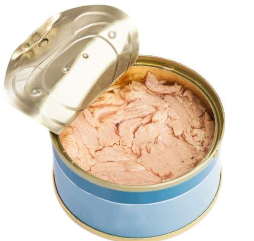 罐頭吞拿魚健康風險