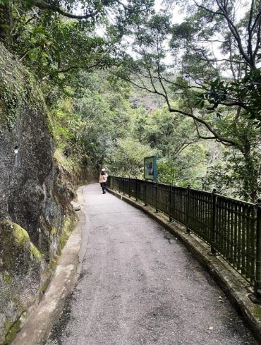 太平山纜車 太平山纜車