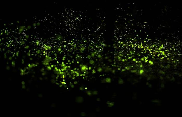 手機夜間攝影設定