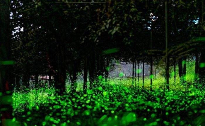 台灣北部生態住宿